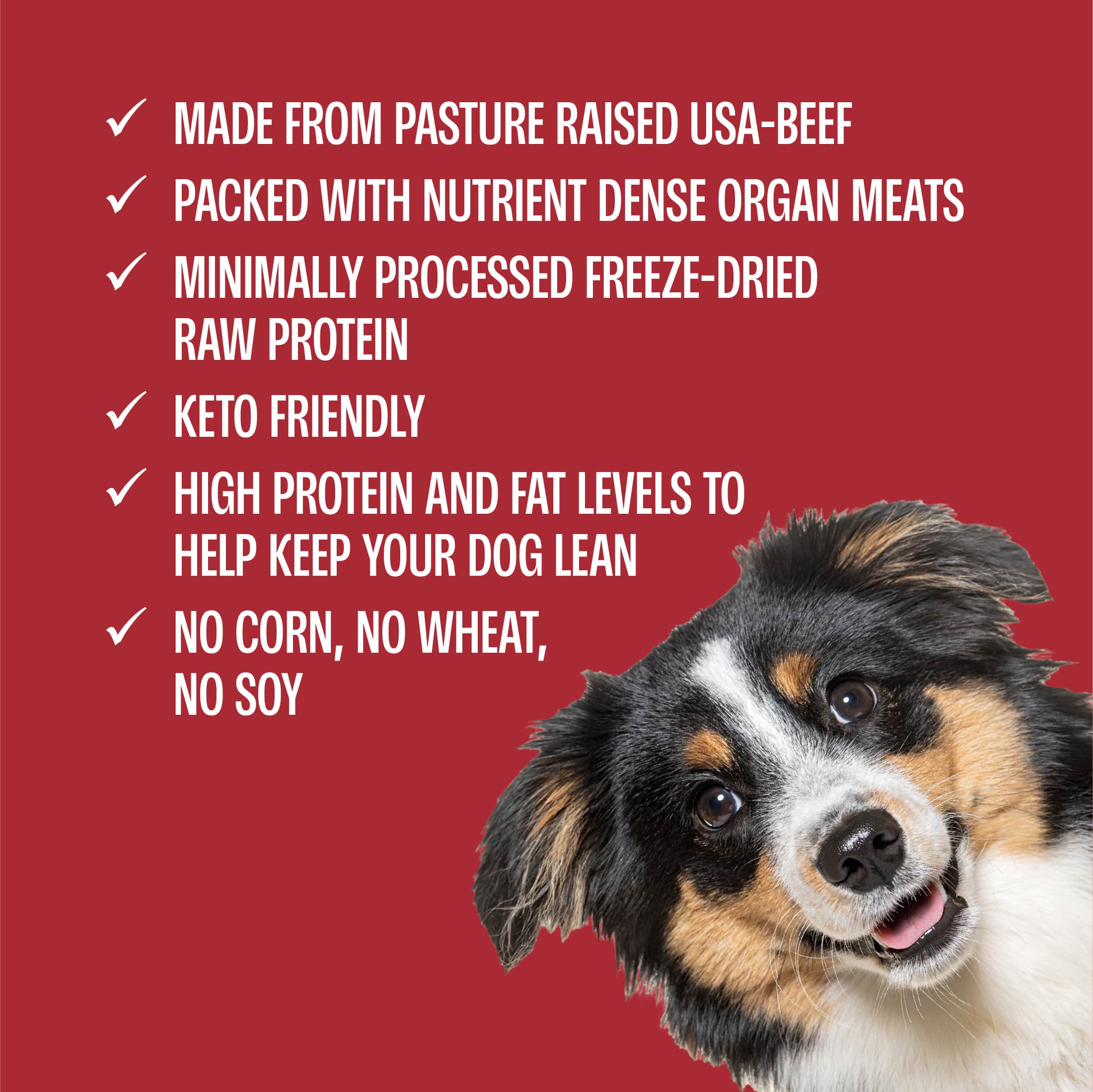 Beef Bites Freeze-Dried Complete & Balanced Food and Treats for Dogs - Image 10