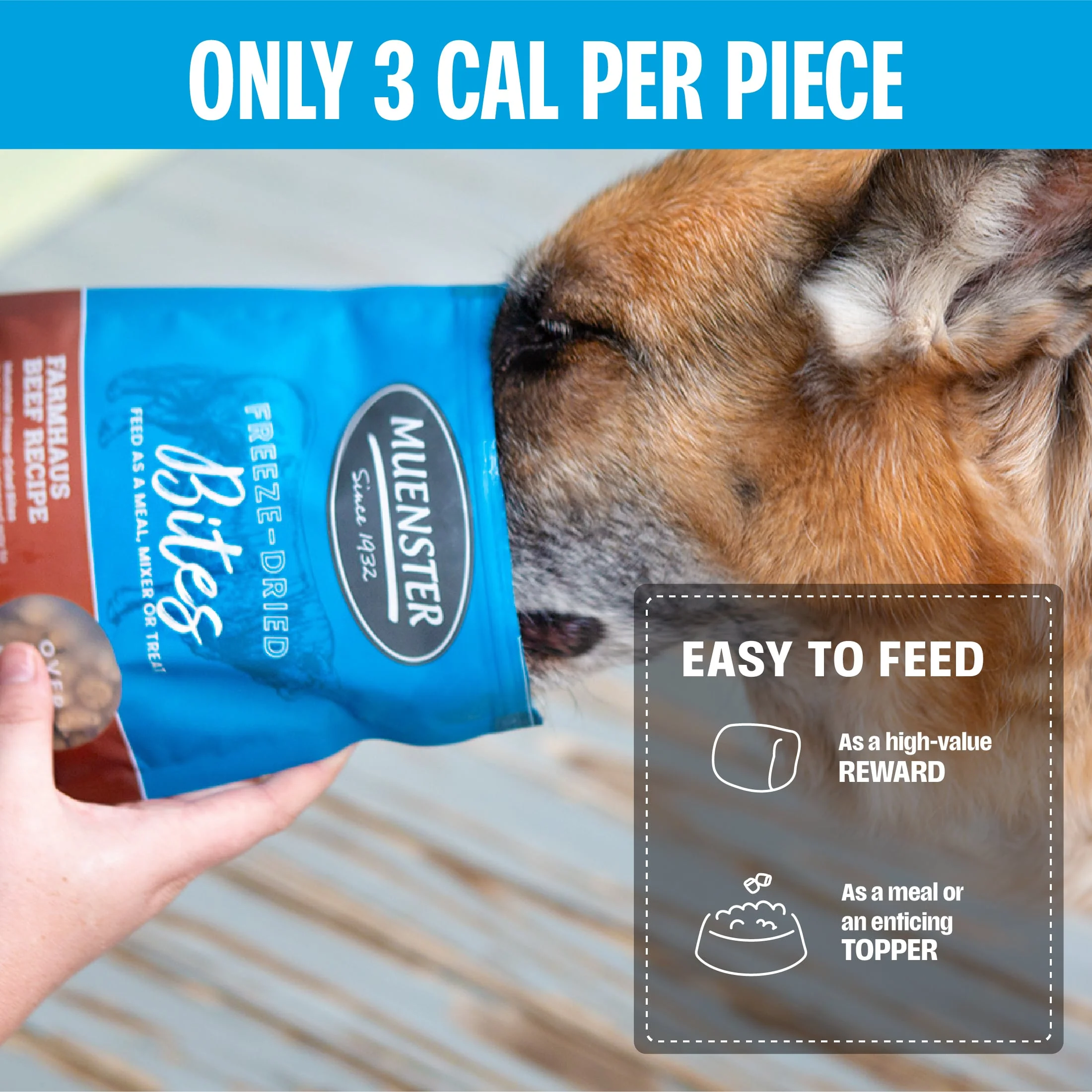 Beef Bites Freeze-Dried Complete & Balanced Food and Treats for Dogs - Image 7